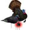 Buy RedHead Reality Series Remote Crazy Jake and Mating Hen Turkey Decoy Combo